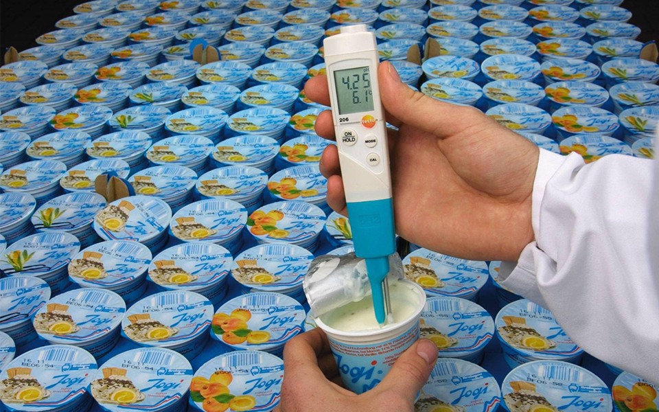 testo 206-pH2 - pH酸碱度测量仪- 食用油品质及PH酸碱度- 通用仪器